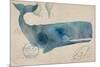 Nautical Whale - Horizontal-Angela Staehling-Mounted Art Print