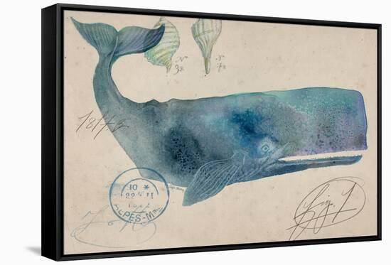 Nautical Whale - Horizontal-Angela Staehling-Framed Stretched Canvas