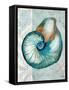 Nautical World III-Elizabeth Medley-Framed Stretched Canvas