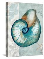 Nautical World III-Elizabeth Medley-Stretched Canvas