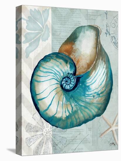 Nautical World III-Elizabeth Medley-Stretched Canvas