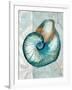 Nautical World III-Elizabeth Medley-Framed Art Print