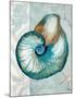 Nautical World III-Elizabeth Medley-Mounted Art Print