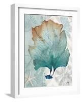 Nautical World IV-Elizabeth Medley-Framed Art Print