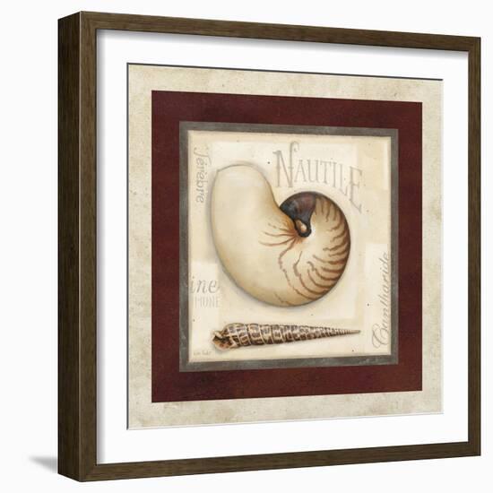 Nautile Shell-Lisa Audit-Framed Giclee Print