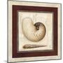 Nautile Shell-Lisa Audit-Mounted Giclee Print