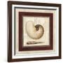 Nautile Shell-Lisa Audit-Framed Giclee Print