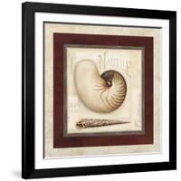 Nautile Shell-Lisa Audit-Framed Giclee Print