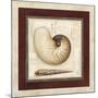 Nautile Shell-Lisa Audit-Mounted Giclee Print