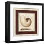 Nautile-Lisa Audit-Framed Art Print