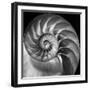 Nautilus 2-Moises Levy-Framed Photographic Print