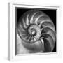 Nautilus 2-Moises Levy-Framed Photographic Print