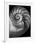 Nautilus 3-2-Moises Levy-Framed Photographic Print