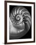 Nautilus 3-2-Moises Levy-Framed Photographic Print