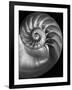 Nautilus 3-2-Moises Levy-Framed Photographic Print