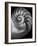 Nautilus 3-2-Moises Levy-Framed Photographic Print