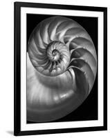 Nautilus 3-2-Moises Levy-Framed Photographic Print