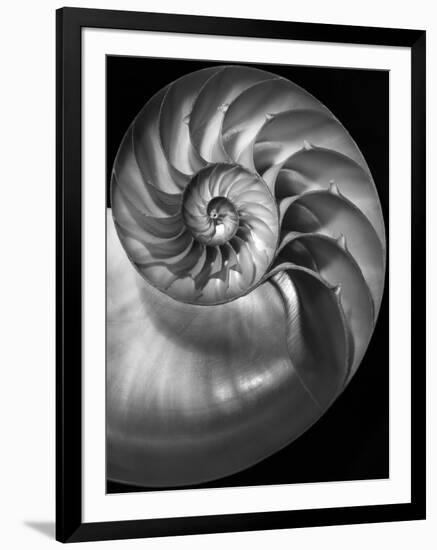 Nautilus 3-2-Moises Levy-Framed Photographic Print