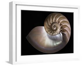 Nautilus 3-Moises Levy-Framed Photographic Print