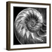 Nautilus 4-Moises Levy-Framed Photographic Print