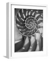 Nautilus 5-Moises Levy-Framed Photographic Print