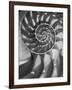 Nautilus 5-Moises Levy-Framed Photographic Print