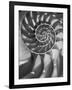 Nautilus 5-Moises Levy-Framed Photographic Print