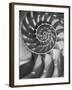 Nautilus 5-Moises Levy-Framed Photographic Print