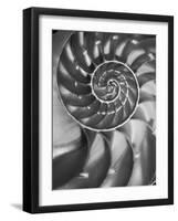 Nautilus 5-Moises Levy-Framed Premium Photographic Print