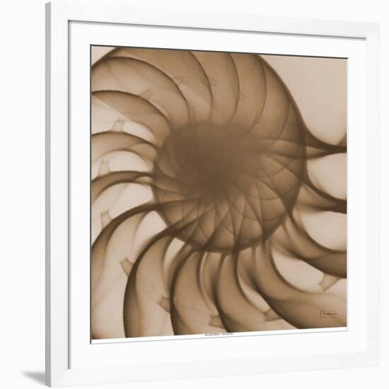 Nautilus Close-Up-Albert Koetsier-Framed Premium Giclee Print