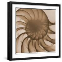 Nautilus Close-Up-Albert Koetsier-Framed Art Print