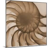 Nautilus Close-Up-Albert Koetsier-Mounted Art Print