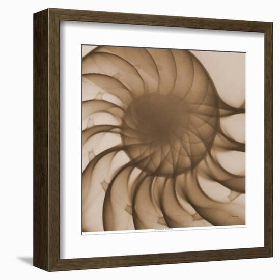 Nautilus Close-Up-Albert Koetsier-Framed Art Print