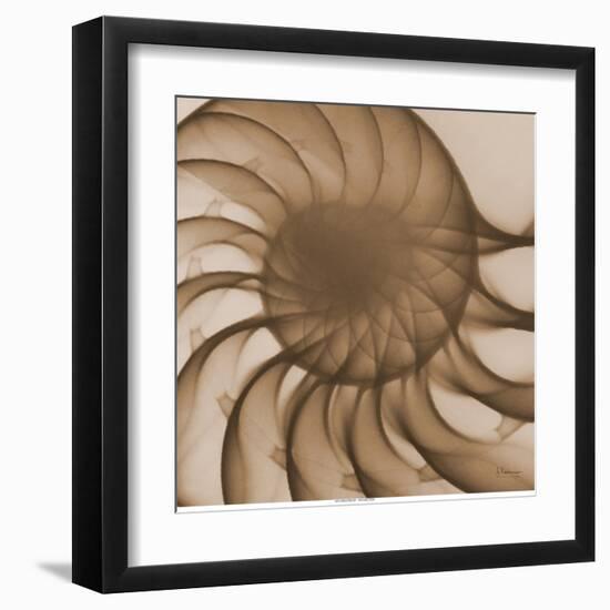 Nautilus Close-Up-Albert Koetsier-Framed Art Print