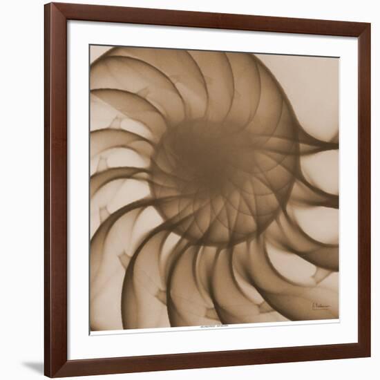 Nautilus Close-Up-Albert Koetsier-Framed Art Print