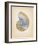 Nautilus Cross Section-Richard Van Genderen-Framed Art Print