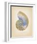 Nautilus Cross Section-Richard Van Genderen-Framed Art Print