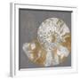 Nautilus II-Mark Chandon-Framed Giclee Print