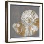 Nautilus II-Mark Chandon-Framed Giclee Print