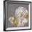 Nautilus II-Mark Chandon-Framed Giclee Print