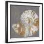 Nautilus II-Mark Chandon-Framed Giclee Print