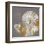 Nautilus II-Mark Chandon-Framed Art Print