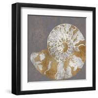 Nautilus II-Mark Chandon-Framed Art Print