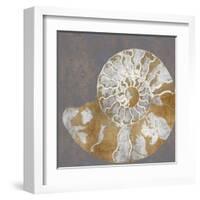 Nautilus II-Mark Chandon-Framed Art Print