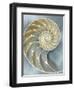 Nautilus in Blue I-Caroline Kelly-Framed Art Print