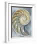 Nautilus in Blue I-Caroline Kelly-Framed Art Print