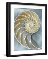 Nautilus in Blue I-Caroline Kelly-Framed Art Print