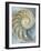 Nautilus in Blue I-Caroline Kelly-Framed Art Print