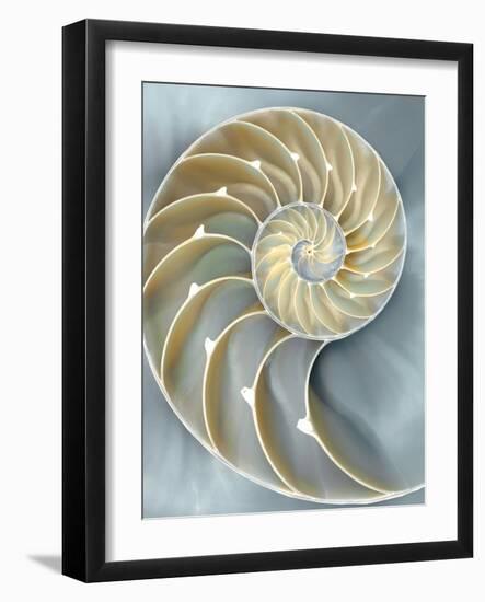 Nautilus in Blue I-Caroline Kelly-Framed Art Print