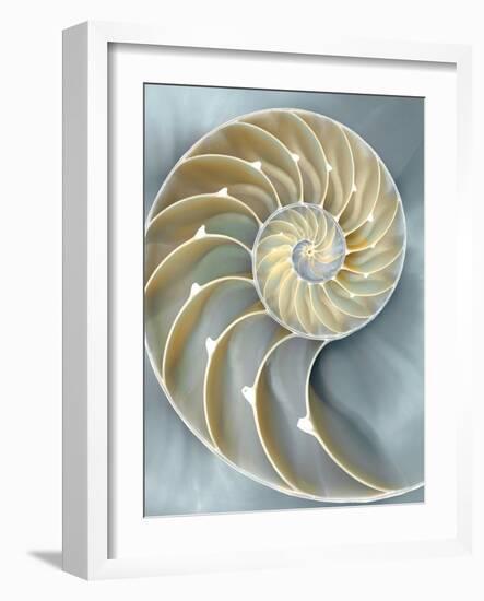 Nautilus in Blue I-Caroline Kelly-Framed Art Print